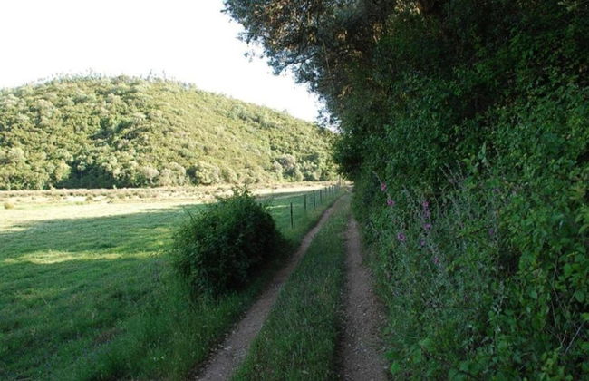 Quiet Cottage in Estate Casas da Cerca near Troviscais - Foto 35