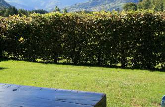 Cottage Casa Felice - Foto 24