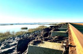 Hallig Hüs - Foto 13