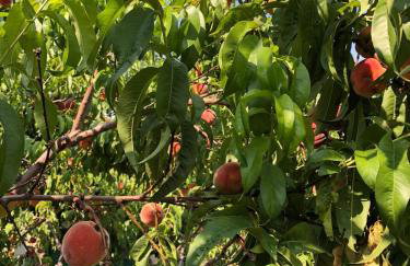 Holiday house LUMA - Foto 42