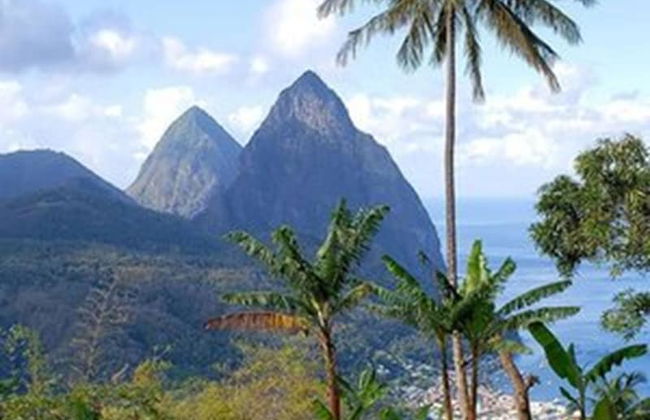 Samfi Gardens - Foto 37