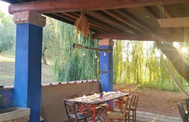 Agriturismo Campolungo - Foto 62