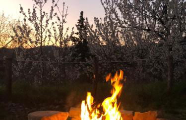 Agriturismo Il Covo del Solengo - Foto 60