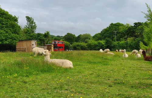 Double Decker Bus on an Alpaca Farm Sleeps 8 - Foto 18