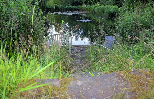 Comfortable Holiday Home in Quiet - Foto 25