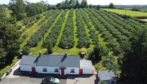 Campbell's Cottage - Foto 2, Garden view