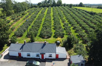 Campbell's Cottage - Foto 2