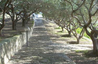 Case Quattrocchi - Giardino e Terrazzi con vista Panoramica sul Mare, Etna e Vulcano - Foto 34