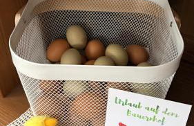 Ferienwohnung Hofidylle - Foto 15