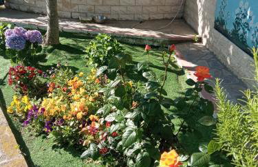 Η Αυλή - Photo 18