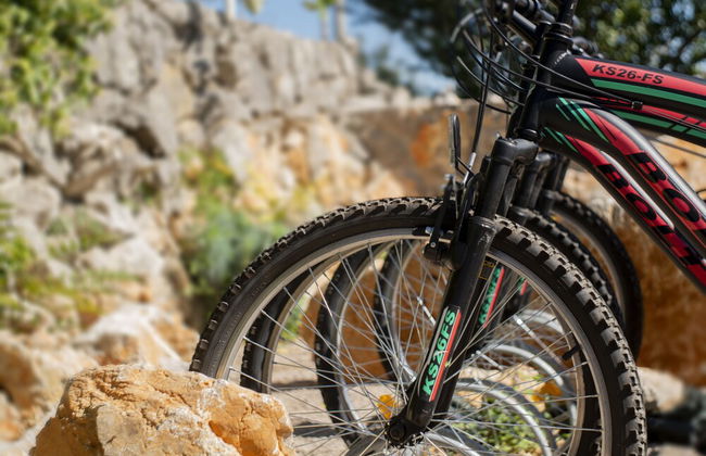 Wabi Sabi Resort & Apartments - Photo 24