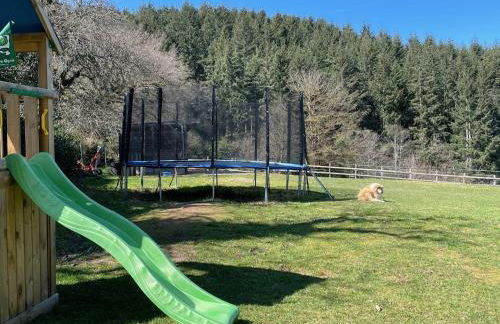 Les Perruchons ancienne grange rénovée avec soin - Foto 30