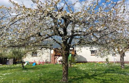 Fewo Helene im schönen Odw - Foto 27