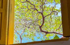 Vila Alta Caraíva - Photo 79