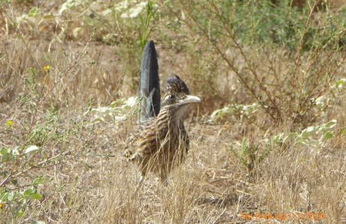 Mansion on the Hill let 4 Rooms, 5th cost extra - Foto 70