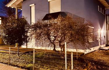 TheBlue Oak Apartments - Photo 1