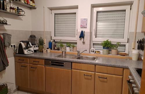 Schöne helle Wohnung nähe Parkanlage - Foto 4