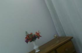 Apartamento Parque das Palmeiras - Foto 7