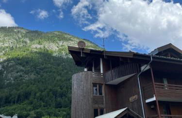 Appartement confortable Abondance centre-ville - Photo 5