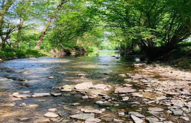 Dalhem Villa With Garden - Foto 36