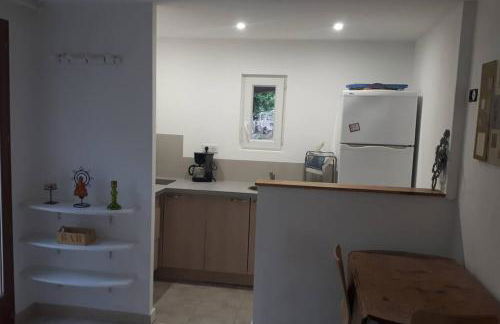 studio bas de villa, jardin et spa (été seulement) - Foto 7