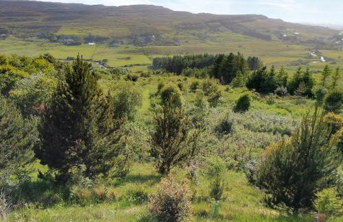 Garradh An Fhasaich - Foto 38