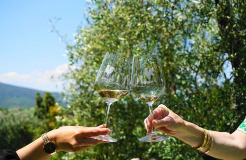 Fattoria Lornano Winery - Foto 128