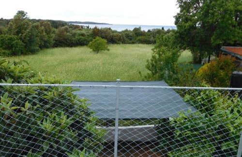 Apartmani Tognon - Foto 60