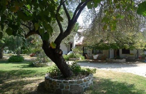 Traditionelles Appartement ATHOS SHADOW 2 am Meer - Foto 1