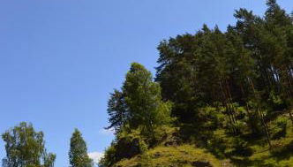 Natur-Aktiv-Hof Thiem - Foto 5