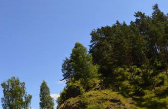 Natur-Aktiv-Hof Thiem - Foto 5