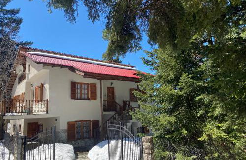 Evergreen Elati - Foto 67