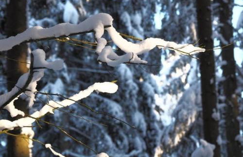 Holiday Home Exklusives Ferienhaus mit Terrasse und Garten by Interhome - Foto 38