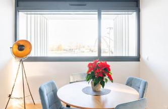 Basel-Tram 8-Tristate-Bridge-Riverview - Foto 16