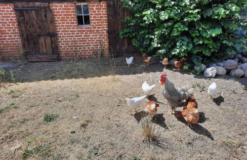 Ferienwohnung am Oase am Vilzsee - Foto 14