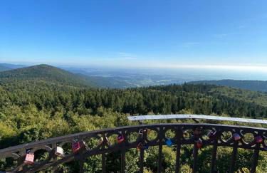 Appartement Hüttenzauber in Sankt Englmar - Foto 30