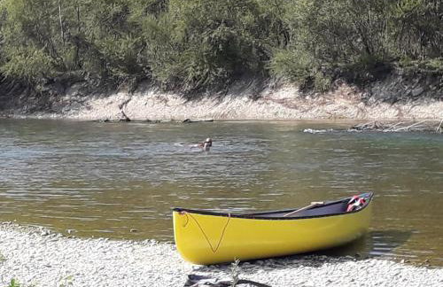 Iva's Place - Foto 53