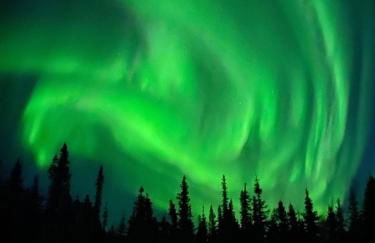 Comfy Caribou Lodge - Photo 19