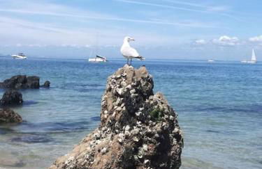 Appartement indépendant à 500 mètres de la mer - Foto 18