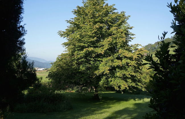 Apartamentos La Collada - Photo 47