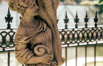 Finca Vitoria - Foto 4