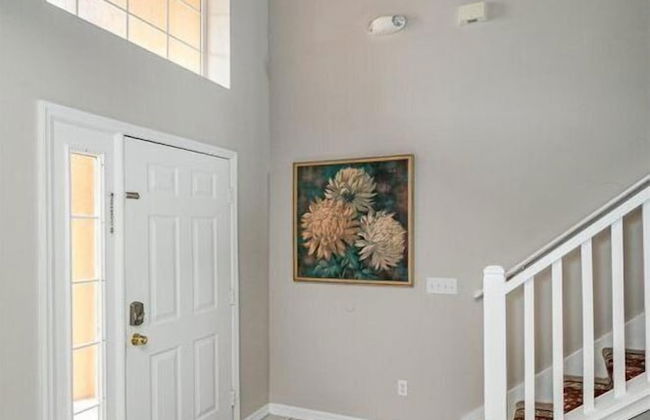 Terra_verde_137 - Foto 11