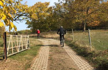 Schwarzwald Boutique-Apartment HAUS REHGARTEN - Foto 53