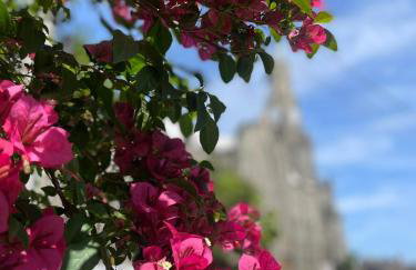CHALÉ DOS ALPES VERDES - Foto 30