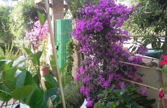 Villa Il Fortino - Foto 39