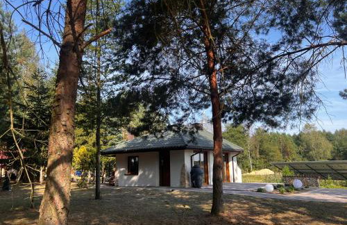 Gajówka Pilica 45A - Foto 24