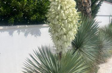 Villa Golden Apple - Foto 64