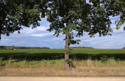 FeWo Wolfseiche - Foto 9