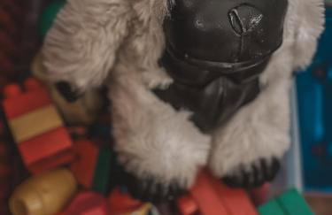 Holiday Home Sofia - quiet village&quick highway close to Biograd na Moru and Zadar - Photo 32