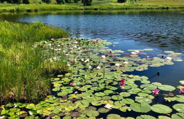 Ferienwohnungen Am Kranzbach FeWo1 - Foto 44